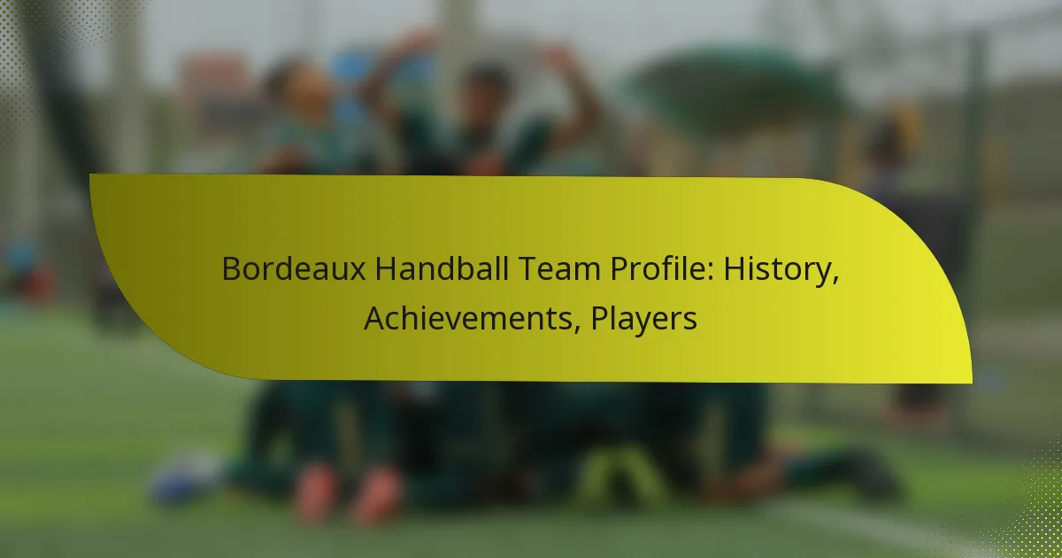 Bordeaux Handball Team Profile: History, Achievements, Players