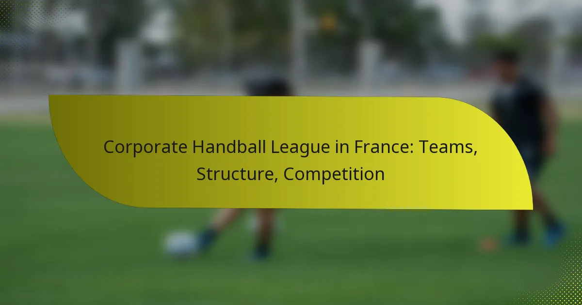 Corporate Handball League in France: Teams, Structure, Competition