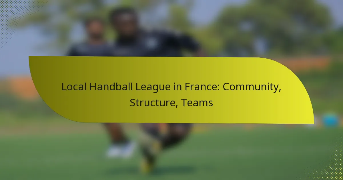 Local Handball League in France: Community, Structure, Teams