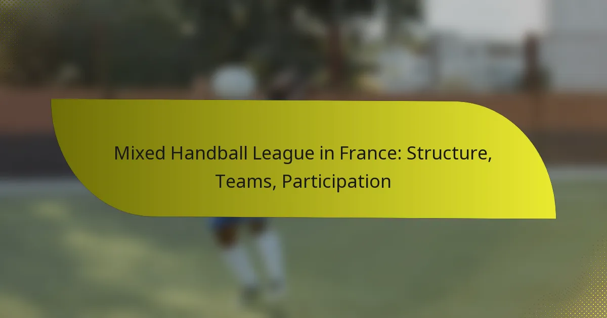 Mixed Handball League in France: Structure, Teams, Participation