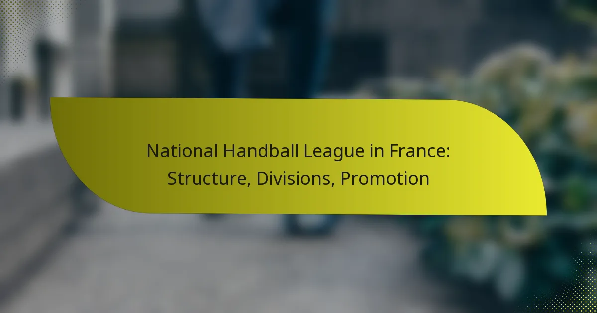 National Handball League in France: Structure, Divisions, Promotion