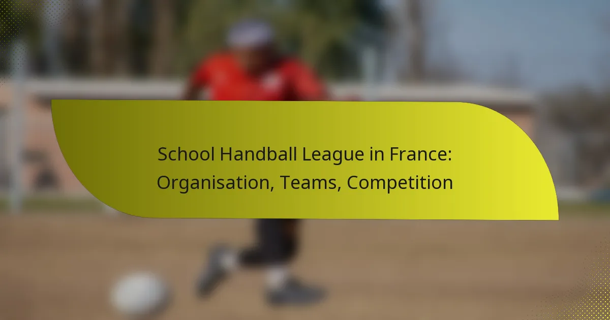 School Handball League in France: Organisation, Teams, Competition
