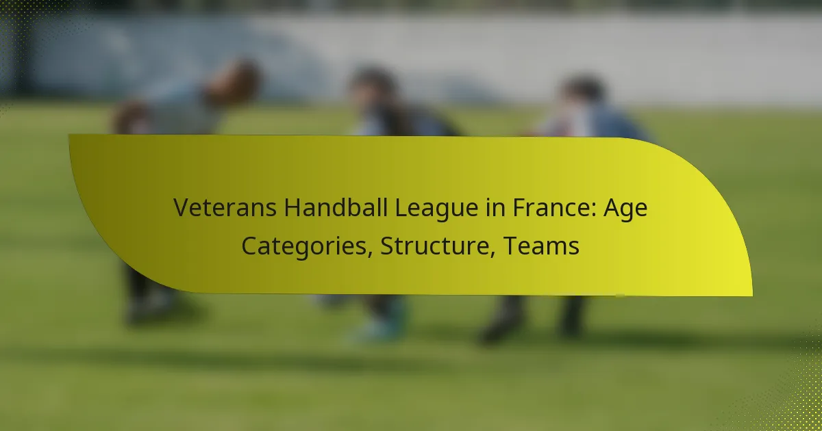Veterans Handball League in France: Age Categories, Structure, Teams