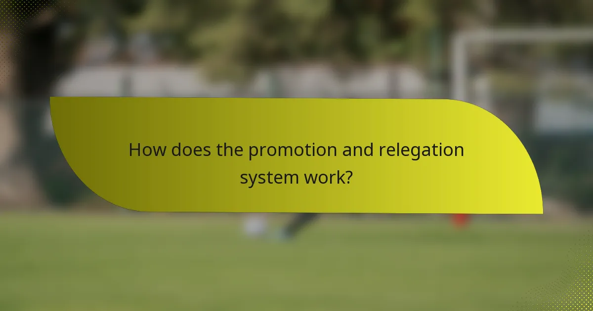 How does the promotion and relegation system work?