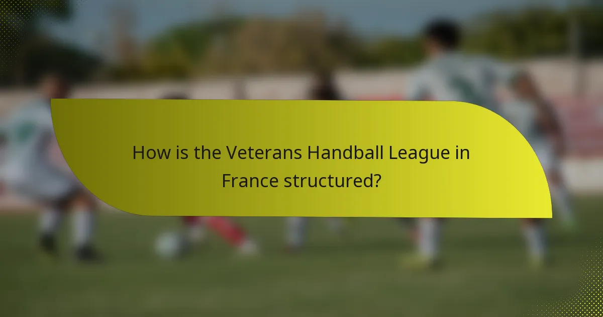 How is the Veterans Handball League in France structured?