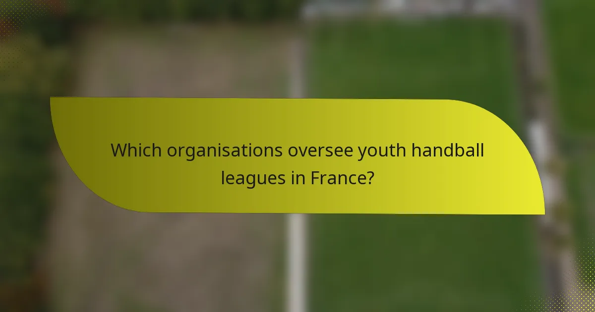 Which organisations oversee youth handball leagues in France?