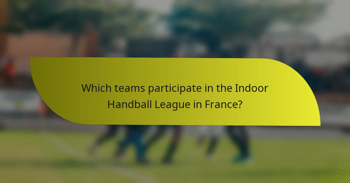 Which teams participate in the Indoor Handball League in France?