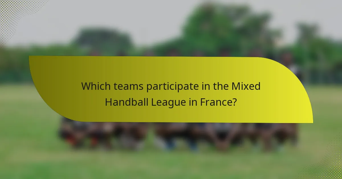 Which teams participate in the Mixed Handball League in France?
