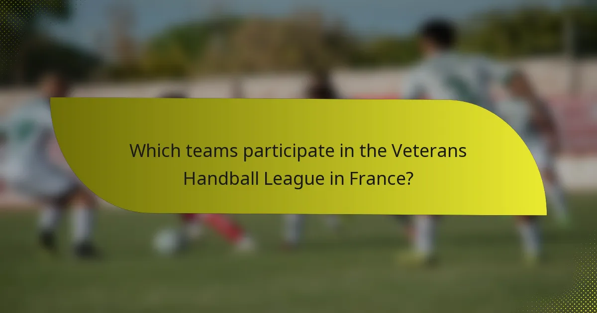Which teams participate in the Veterans Handball League in France?