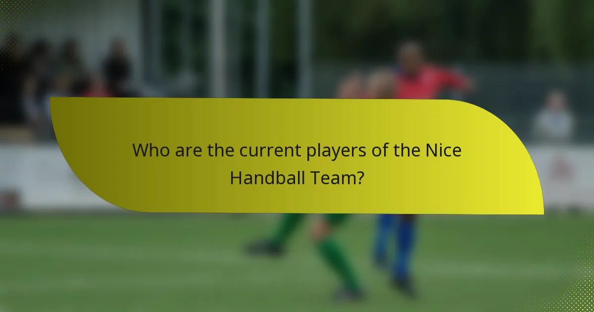 Who are the current players of the Nice Handball Team?
