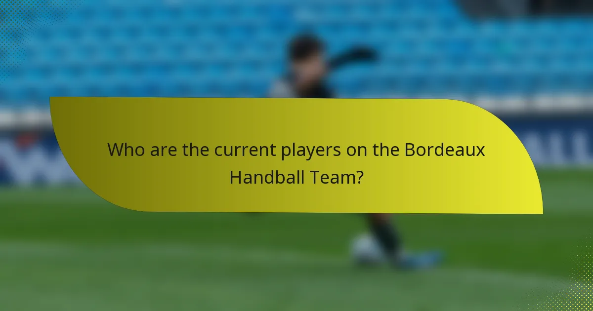 Who are the current players on the Bordeaux Handball Team?